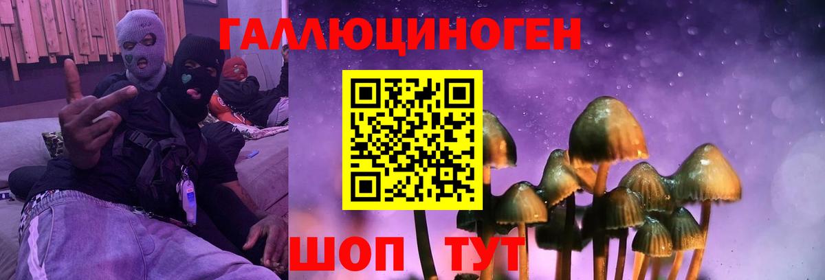 Камышлов  Галлюциногенные грибы Psilocybe  Вход с VPN  Галлюциногенные грибы мухоморы 